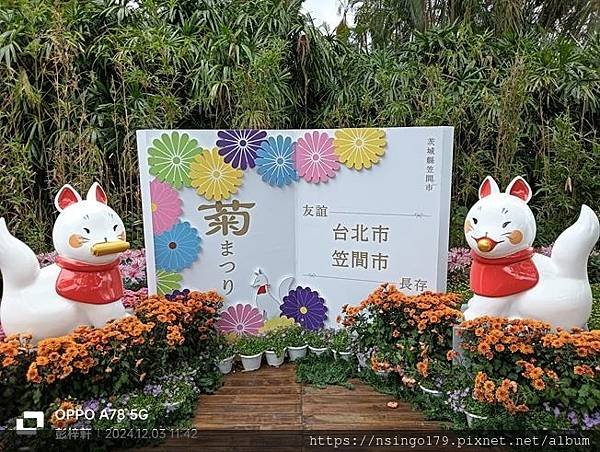 2024士林官邸菊展的花田筆記(上)：熊熊遇見鹿、綠野仙蹤、