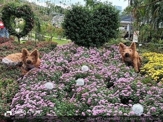 2024士林官邸菊展的花田筆記(上)：熊熊遇見鹿、綠野仙蹤、