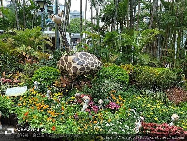 2024士林官邸菊展的花田筆記(上)：熊熊遇見鹿、綠野仙蹤、