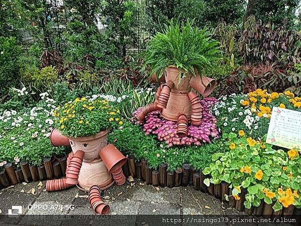 2024士林官邸菊展的花田筆記(上)：熊熊遇見鹿、綠野仙蹤、