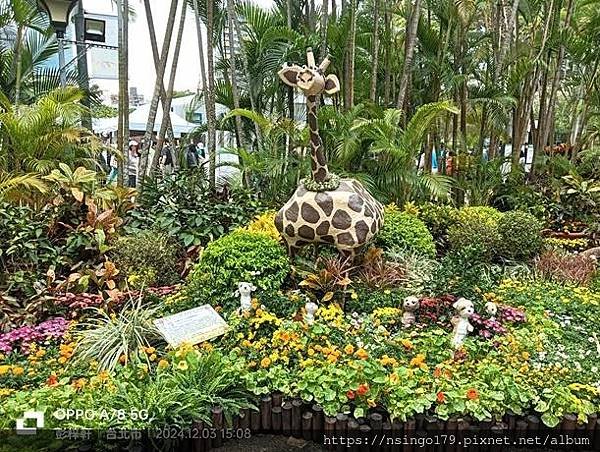 2024士林官邸菊展的花田筆記(上)：熊熊遇見鹿、綠野仙蹤、