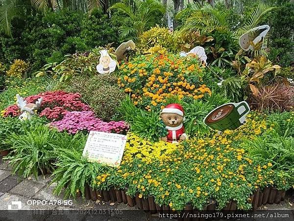 2024士林官邸菊展的花田筆記(上)：熊熊遇見鹿、綠野仙蹤、