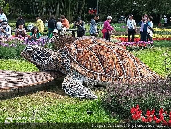 2024士林官邸菊展的花田筆記(上)：熊熊遇見鹿、綠野仙蹤、