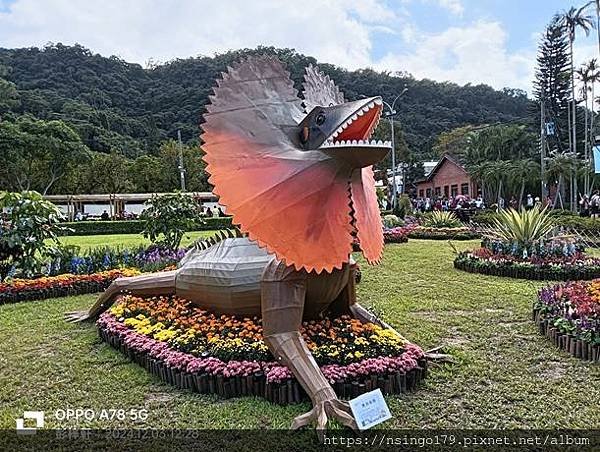 2024士林官邸菊展的花田筆記(上)：熊熊遇見鹿、綠野仙蹤、
