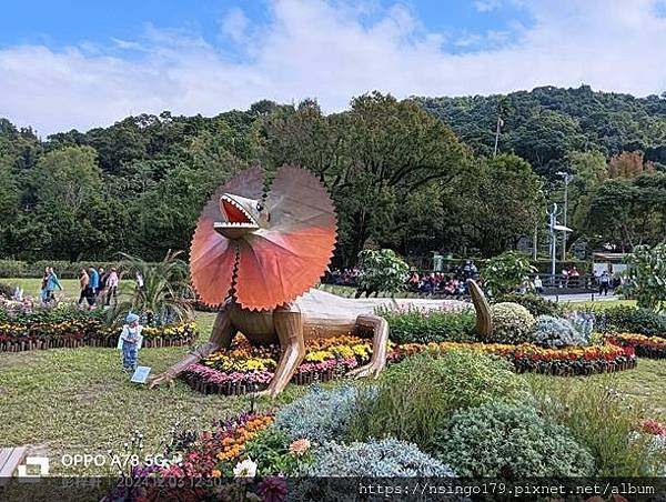 2024士林官邸菊展的花田筆記(上)：熊熊遇見鹿、綠野仙蹤、