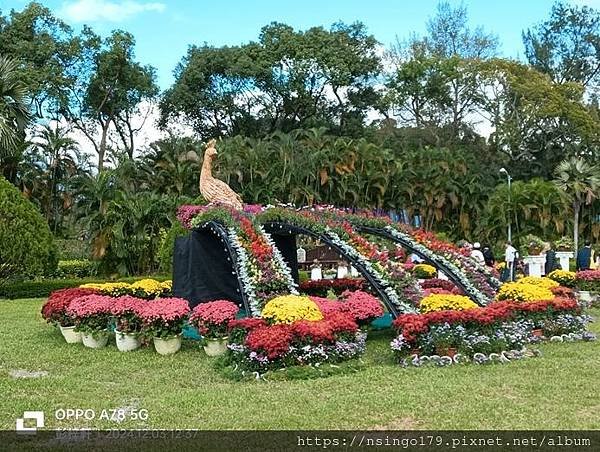 2024士林官邸菊展的花田筆記(上)：熊熊遇見鹿、綠野仙蹤、