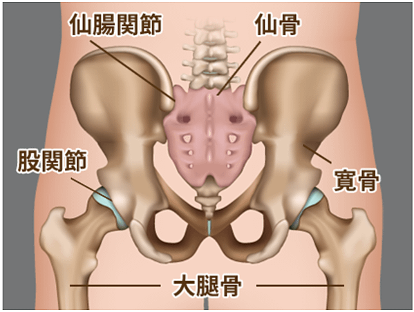 螢幕快照 2021-01-18 07.44.16