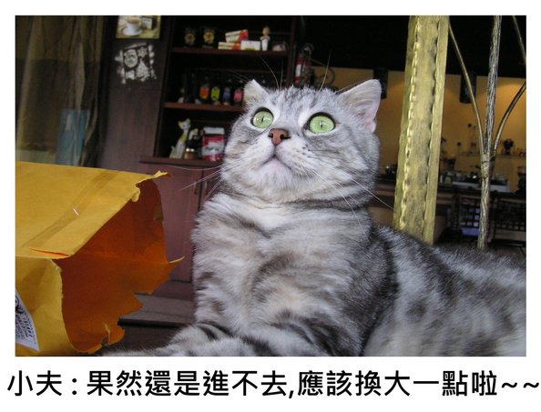 小夫紙袋5.JPG