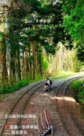 多林車站-全台最小車站/嘉義縣阿里山鄉，為林務局阿里山林業鐵