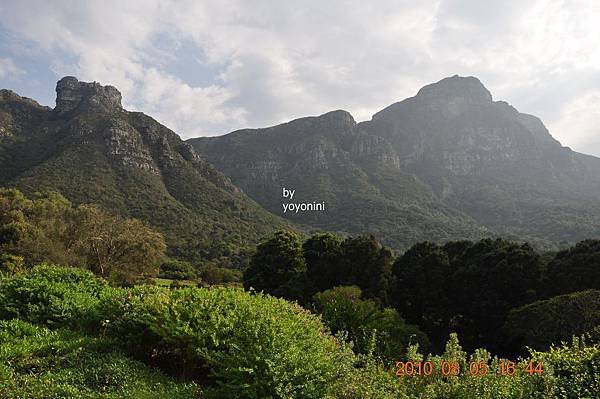 DSC_0353背景是山.JPG