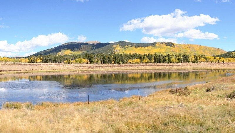 Fall Foliage in Kenosha Pass, Colorado (51)