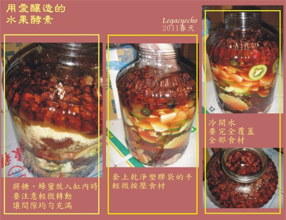 酵素06.jpg