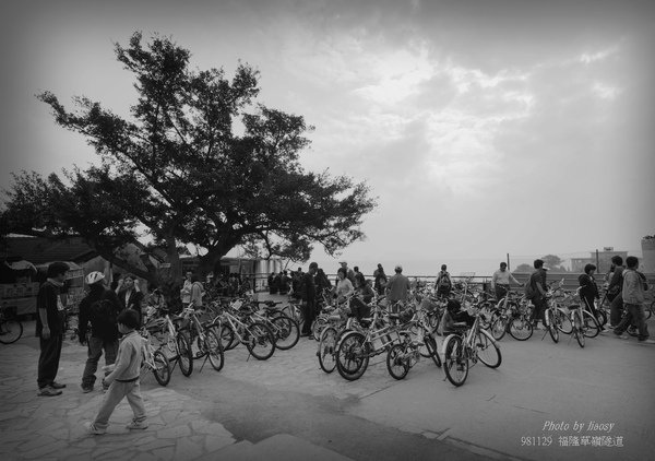 DSC_3512.jpg