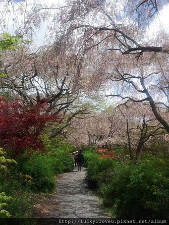 20130421_113351 - 複製