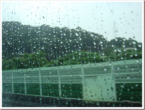 DSC05233
