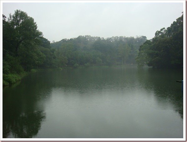 DSC05306