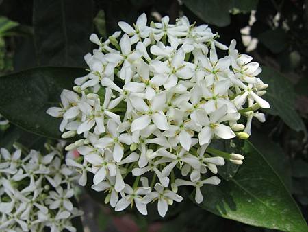 IMG_9991.JPG