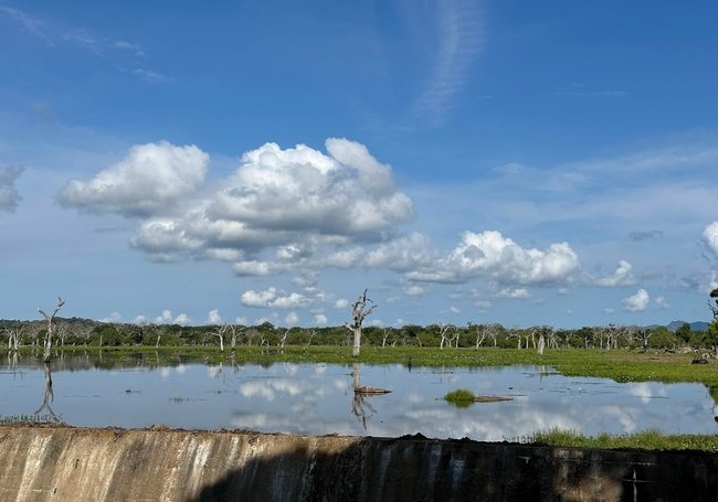 【斯里蘭卡自助】雅拉國家公園：12小時陸路Safari，錫蘭