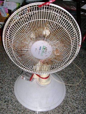 100_4319.JPG