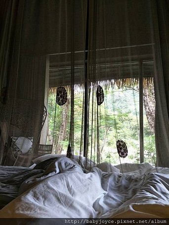 IMG20180619081802.jpg
