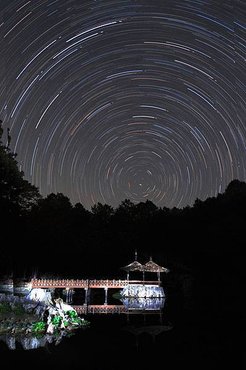 台灣之美~~阿里山櫻花季