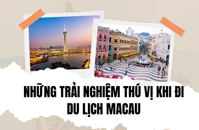 Những Trải Nghiệm Thú Vị Khi D