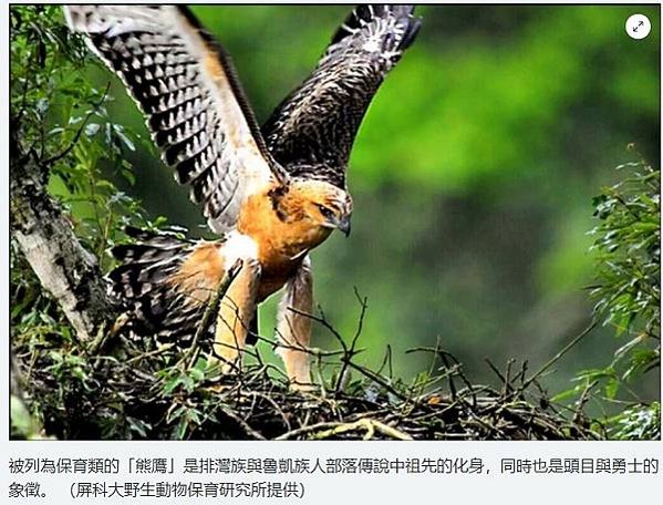 排灣族原住民女巫師遇上人類學家/排灣族女巫的工作，主要分成「