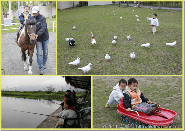 溼地公園的活動