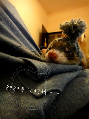 DSC04020.jpg