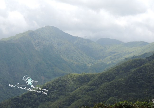 沿途風景