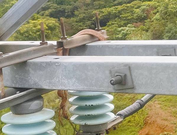 停電原因，動物侵擾/全國超過43萬公里的電力線路、300多萬