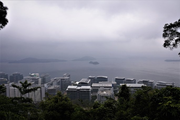 DSC_2498.jpg
