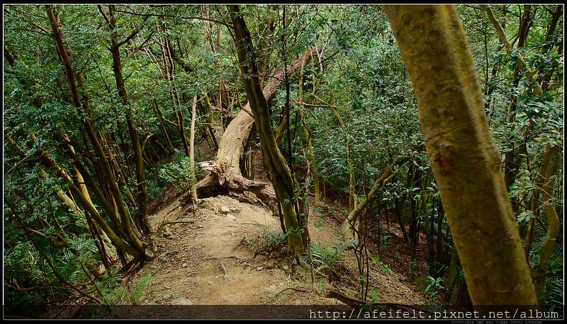 P1230360 (1)