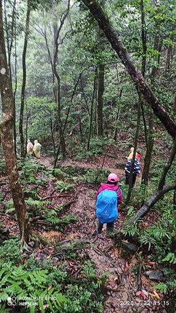 2020-07-22  桃園北插天山   026.jpg