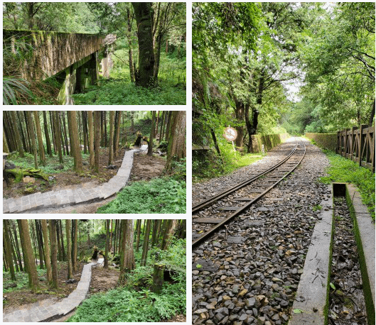 嘉義之阿里山森林遊樂區