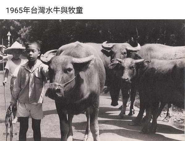 老照片1012