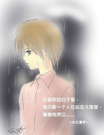 雨中小小花