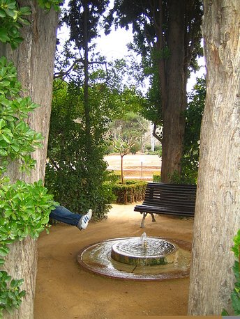 IMG_0217.JPG