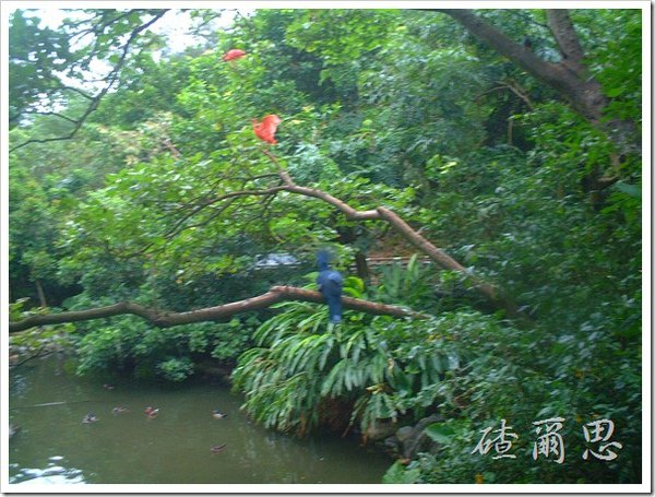 2010竹塘國中畢業旅行 036