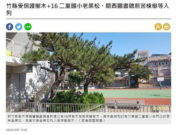 新竹縣民多次為縣內老樹請命保護，縣府仍就老舊法令便宜行事，不