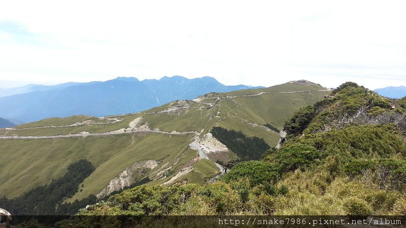 遠眺主峰