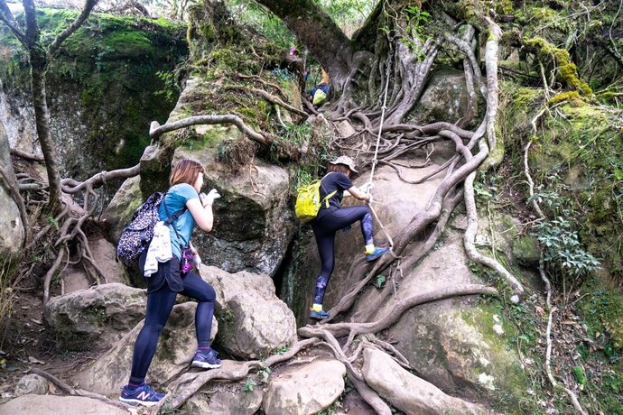 201121 [南庄] 加里山 5th 鹿場登山口往返