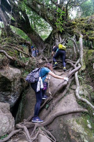 201121 [南庄] 加里山 5th 鹿場登山口往返