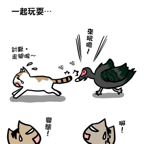 街頭巷尾貓1-5.jpg