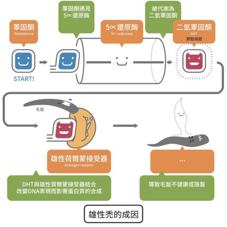 掉髮治療、大量掉髮原因、掉髮怎麼辦、大量掉髮看哪科、嚴重掉髮要看哪一科、突然掉髮嚴重、異常掉髮原因、禿頭原因、遺傳禿頭解決02.jpg