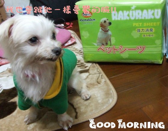 DSCF1251.JPG