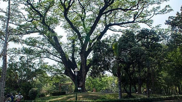 台南北區景點－台南公園