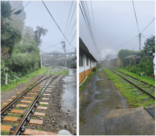嘉義之阿里山森林遊樂區