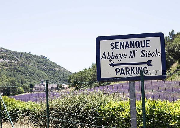 SENANQUE_RETOUCHE (2)