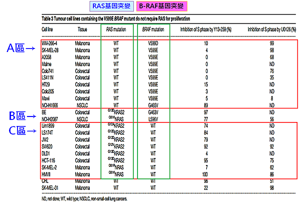 BRAF及RAS基因突變.png